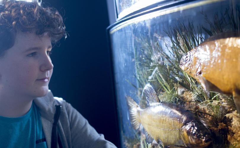 Sludge River Activity