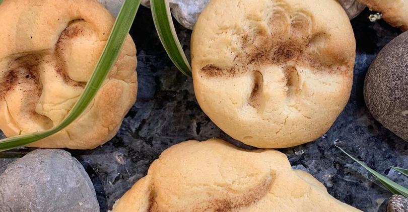 Victorian Fossil Hunters