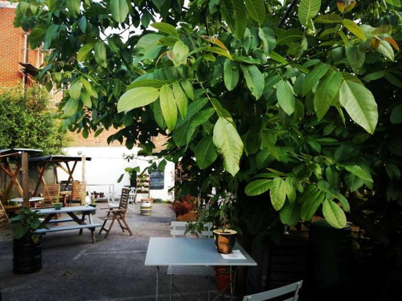 Green leaves of a walnut tree dominate the right-hand foreground, tables and chairs of a pub garden are behind and left