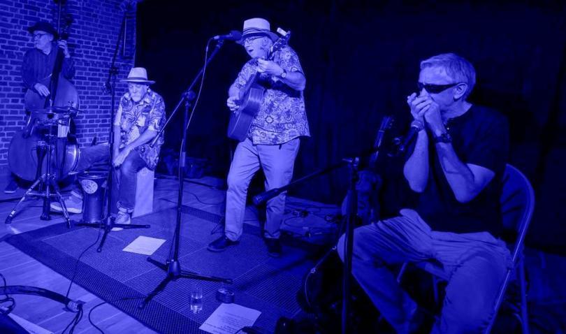 Greg Mayston’s Folk, Blues and Americana band on stage