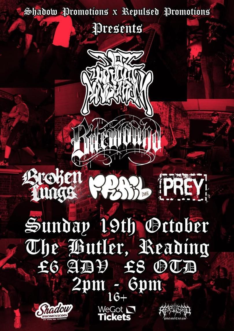 Poster for Shadow Promotions DIY X Repulsed present: A Hardcore Matinee featuring the band names and details in fotns that are really difficult to read