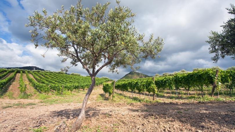 Discover Southern Italy!