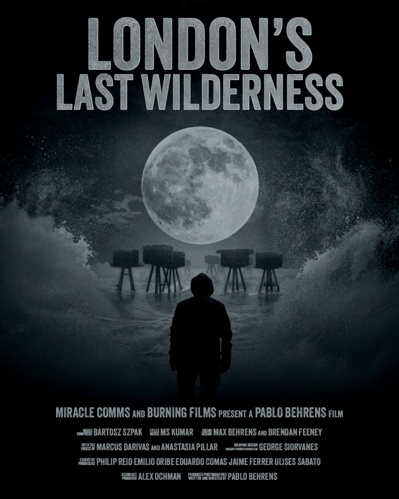 Film poster with a silhouetted person in front of a moon