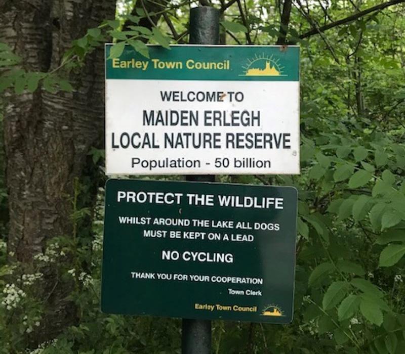 Lake and Woods at Maiden Erlegh