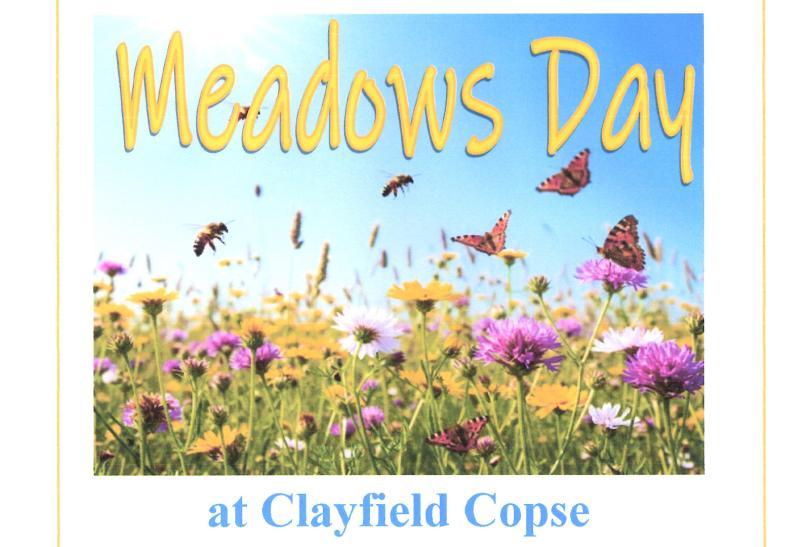 "Meadows Day at Clayfield Copse" over an image of a meadow