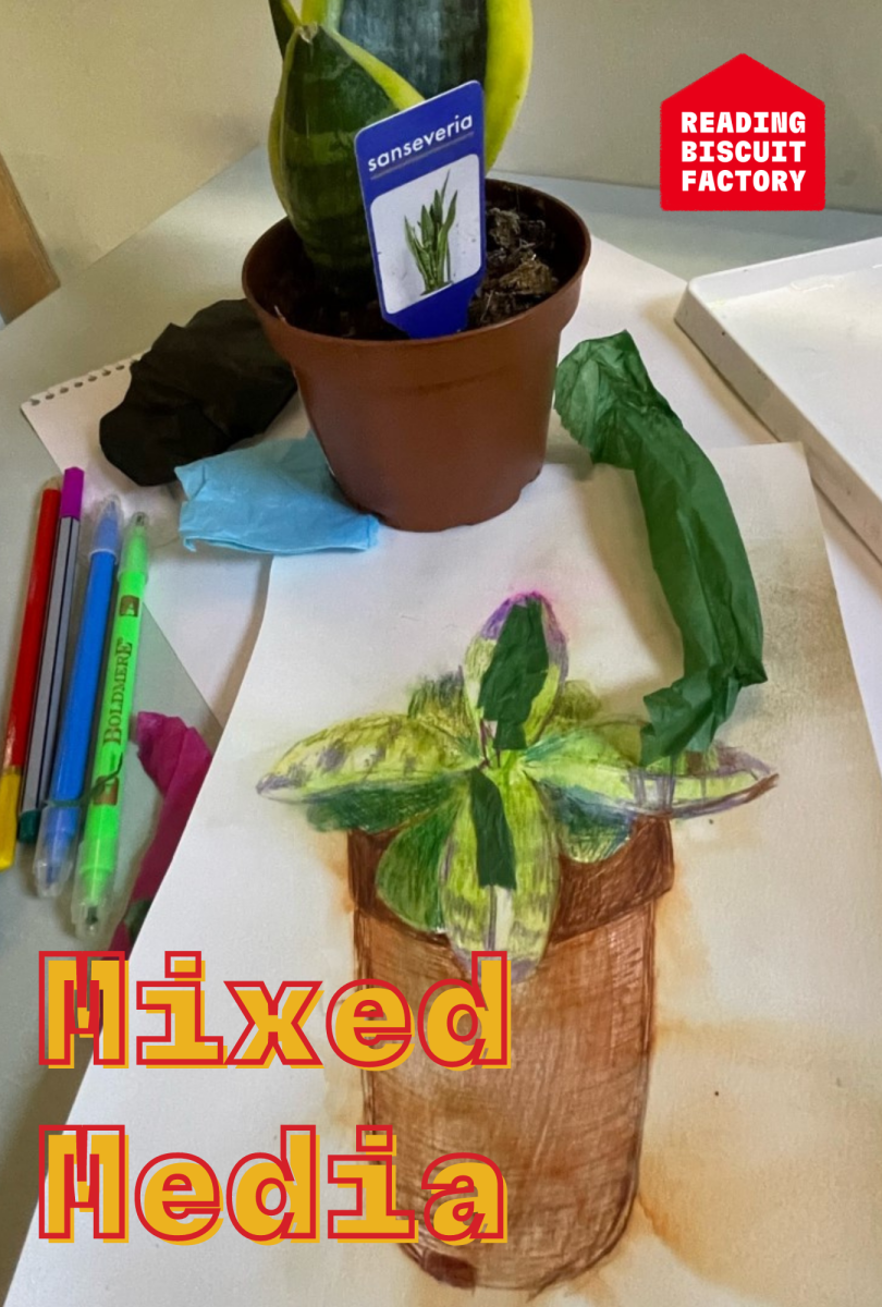 Mixed Media What's On Reading