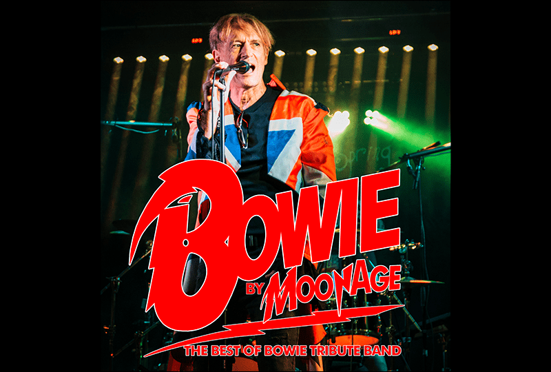 Bowie by MoonAge