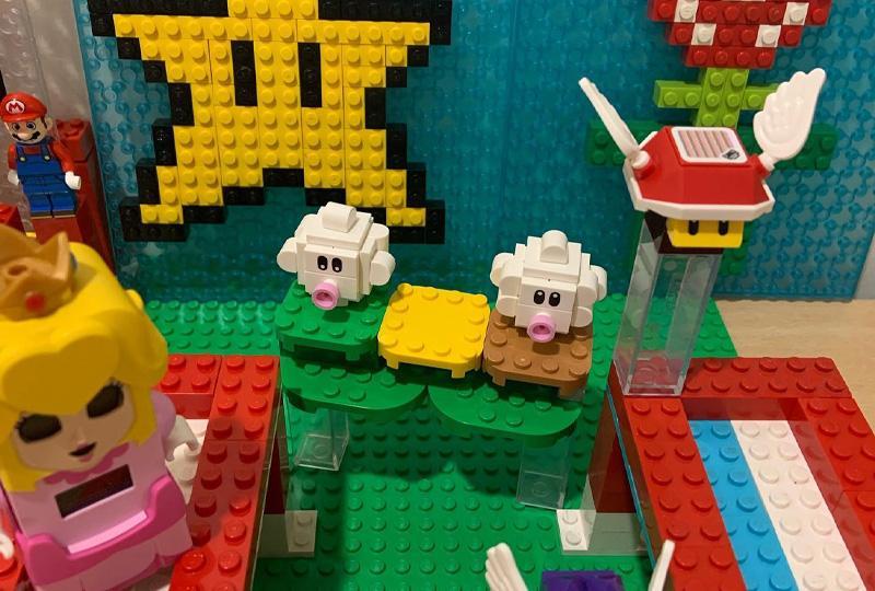 Mario Bros. themed LEGO