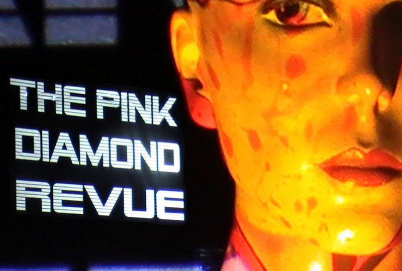 pink diamond revue logo with a close up of a mannequin head