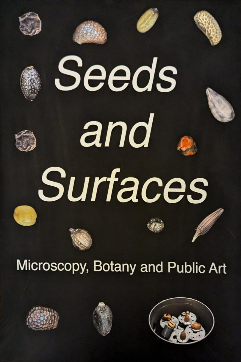 black background with a number of seeds dotted across, and the title "Seeds and Surfaces" in the centre