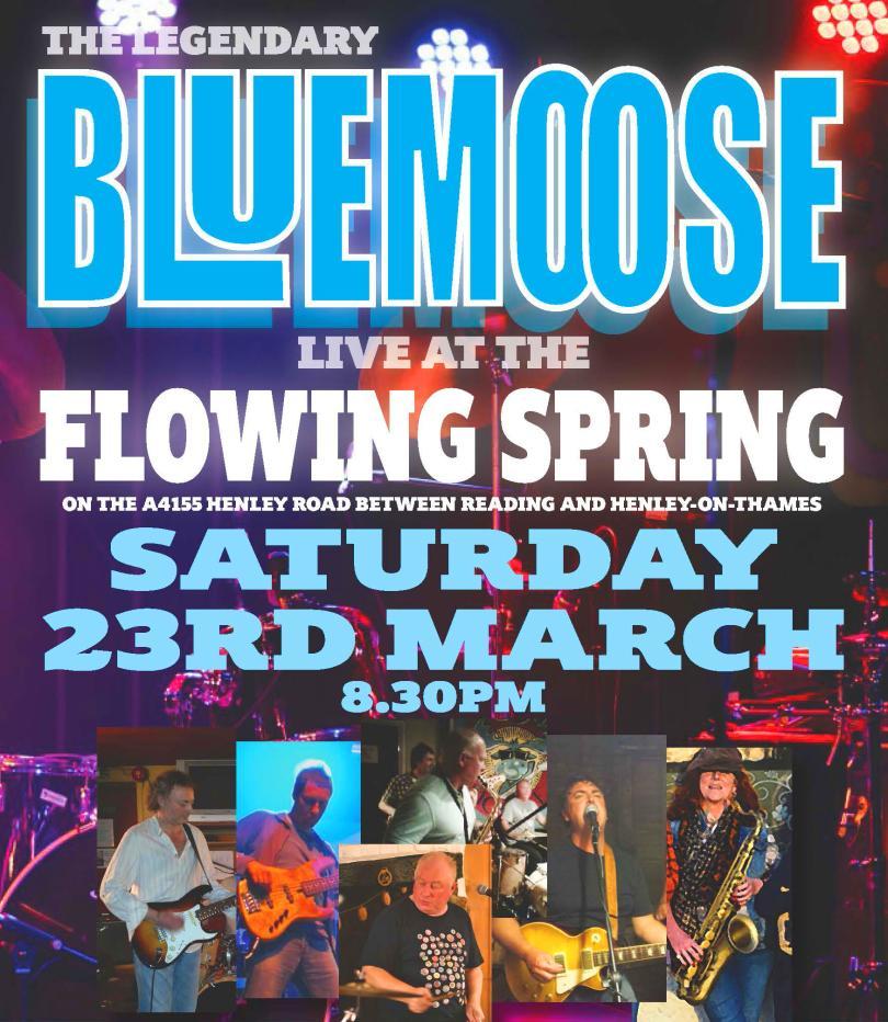 Blue Moose Blues Band at The Flowing Spring