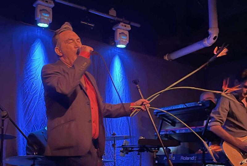 Morrissey tribute artist singing into a microphone and swinging flowers with the other hand