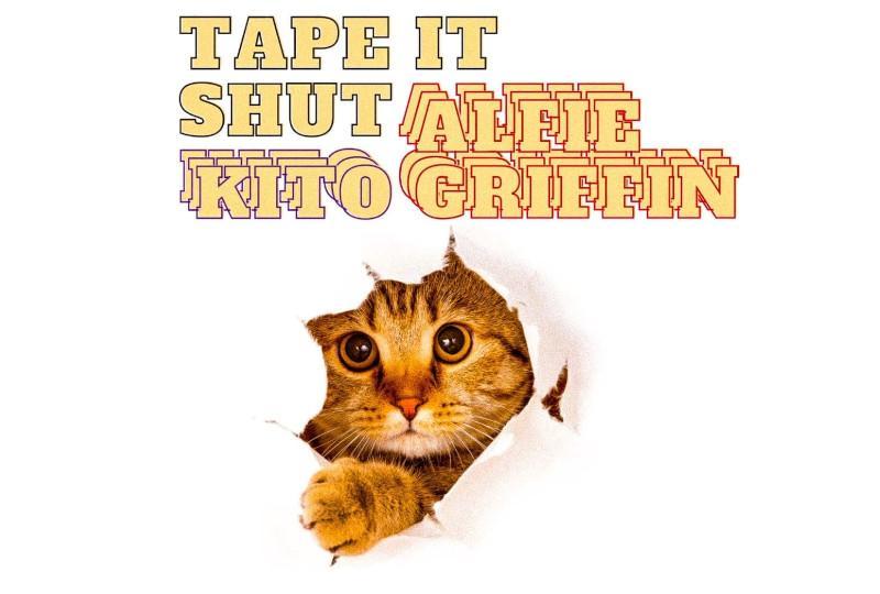 image of a kitten breaking through a white barrier