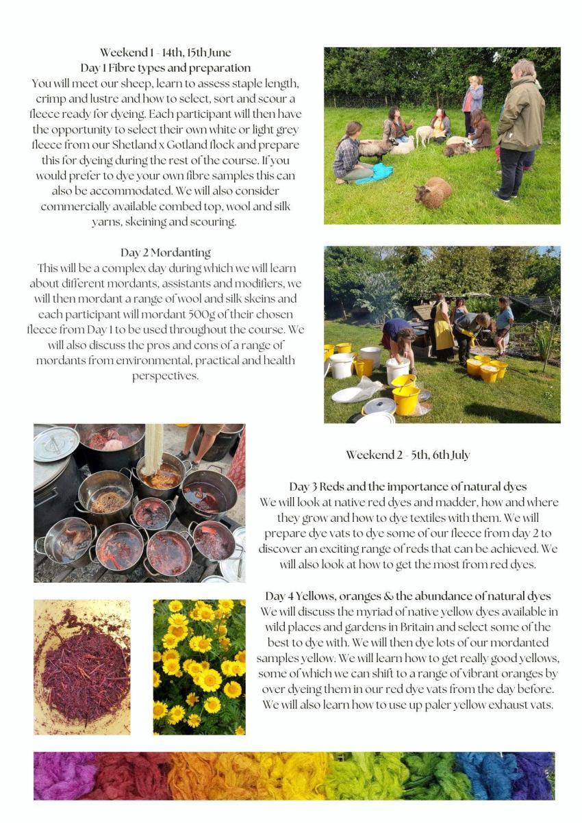 Weekend 1 and 2 of Natural Dyeing Course