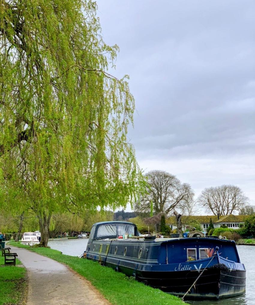 Walk Works 24th April Henley