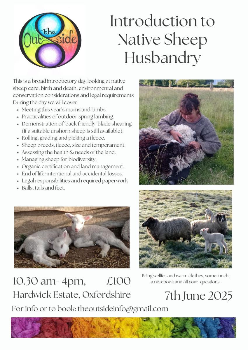 Flyer for Native Sheep Husbandry workshop