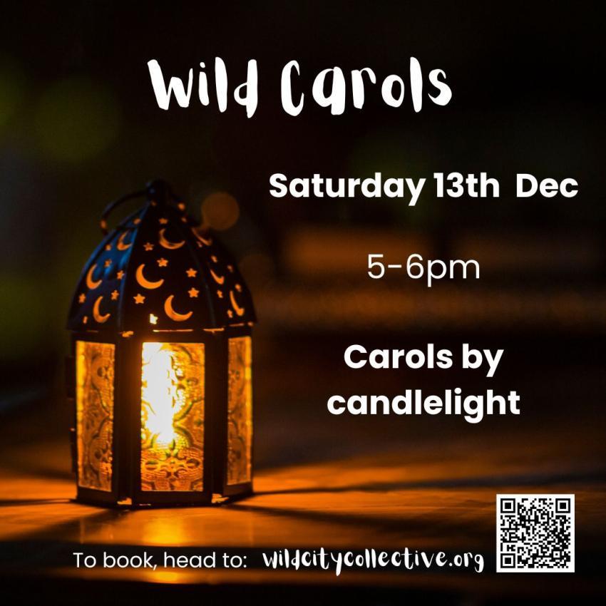 a lantern shines in the dark