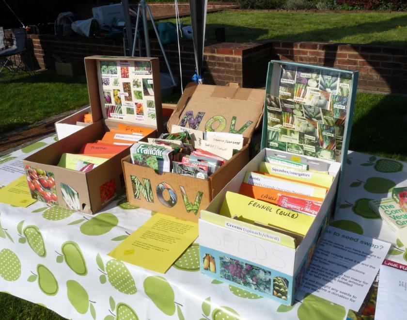 Reading Food Growing Network seed swap