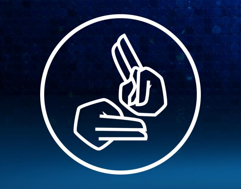 British Sign Language (BSL) Interpreted Performance