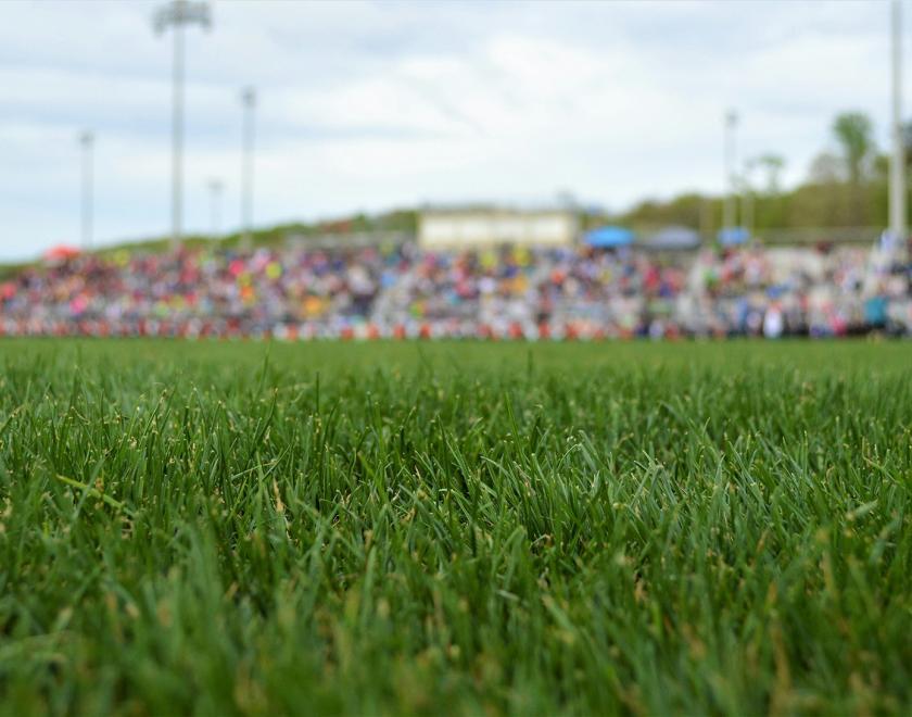 photo of a sports pitch with a blurry crowd in the background