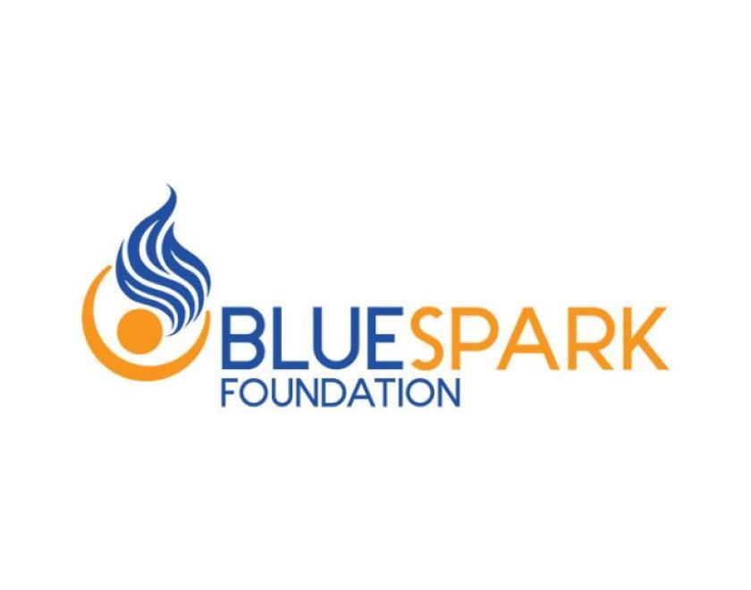 BlueSpark Foundation logo