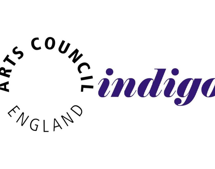 ACE and indigo logos
