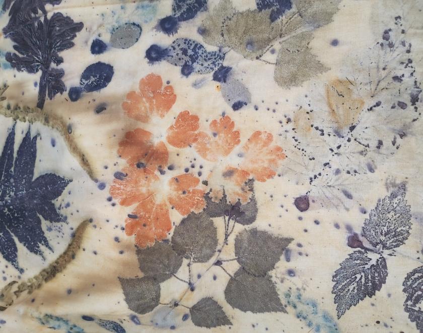 A picture of botanical printing