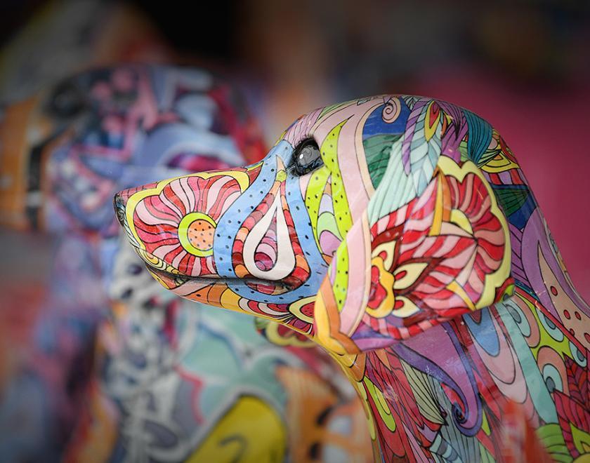 Zoom's Reading October Market 2024