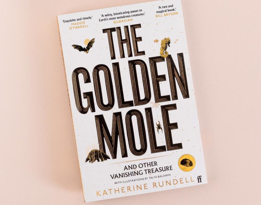 The Golden Mole Museum Challenge at The Cole Museum of Zoology