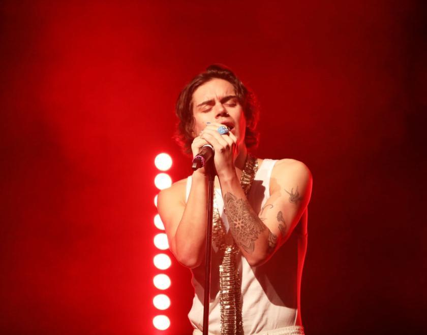 Harry Styles Tribute