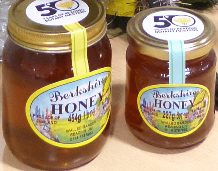 Jars of honey