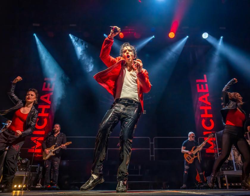 Michael Jackson Tribute Show