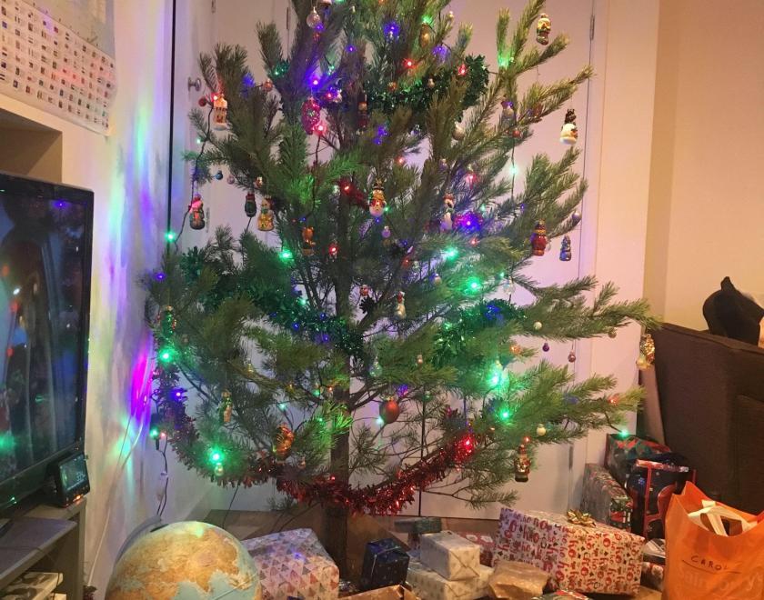 Green Christmas Tree Sale at Caversham Court