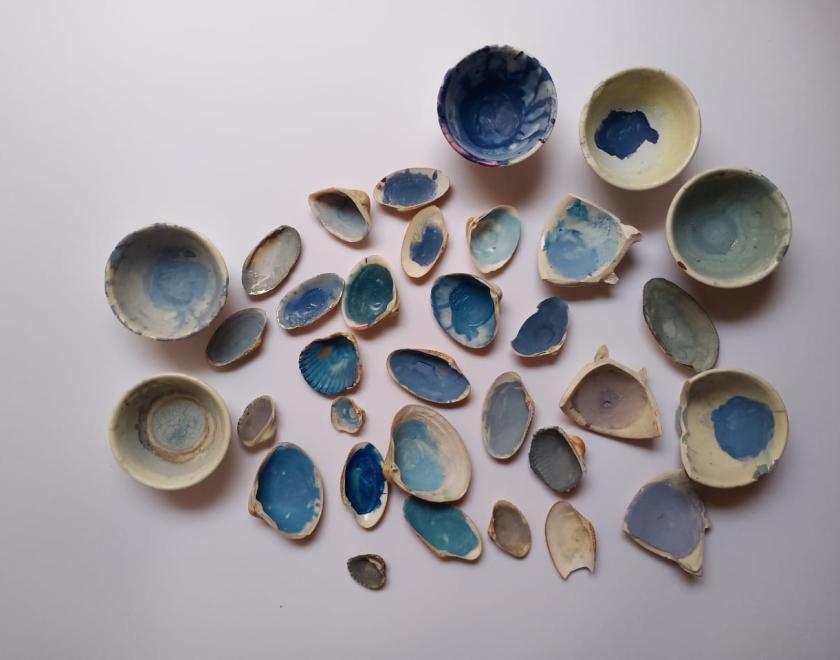 collection of shells