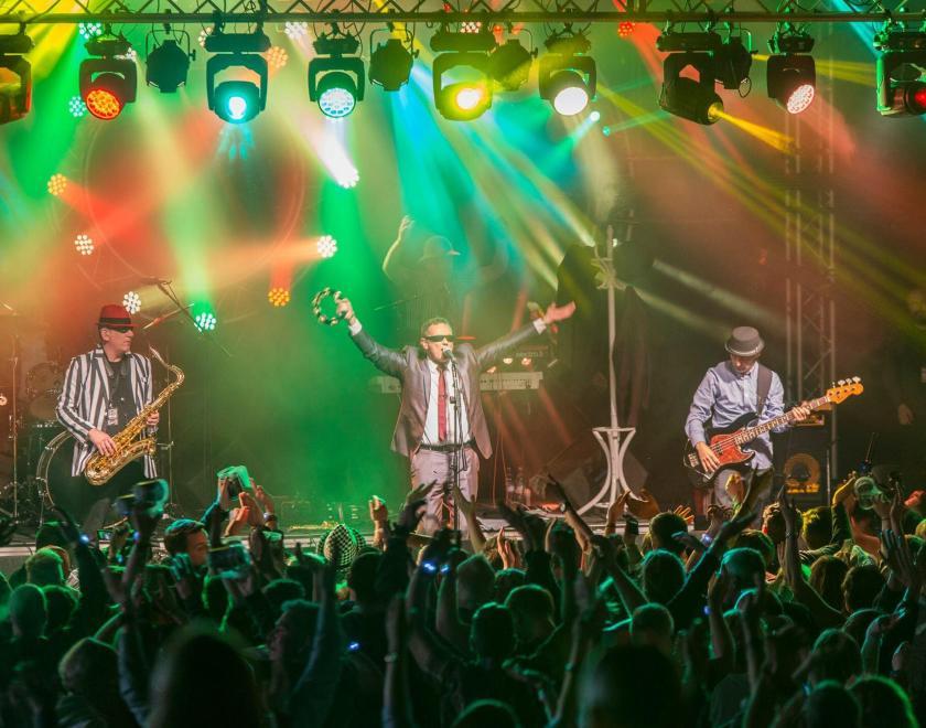 Special Kinda Madness