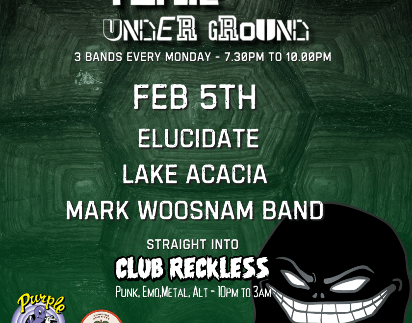 Turtle Underground  3 bands every Monday at The Purple Turtle.  Followed By Club Reckless