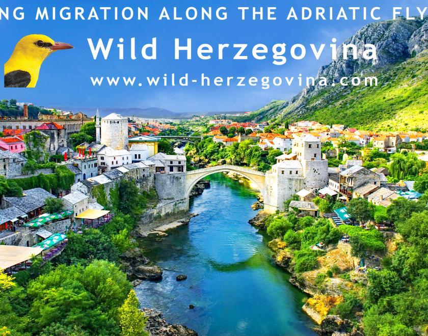 Image of Mostar bridge, Herzegovina