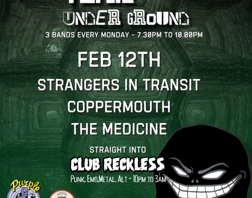 Turtle Underground  3 bands every Monday at The Purple Turtle.  Followed By Club Reckless
