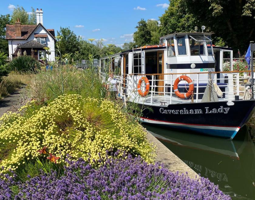Pretty Goring lock with purple heather flowers, with Caversham Lady boat on a sunny day