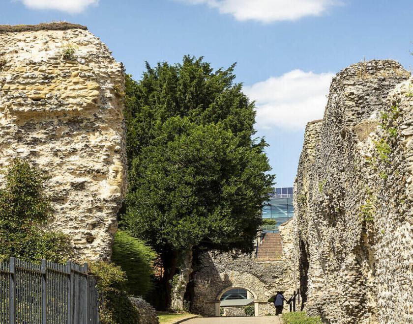 Reading Abbey Ruins