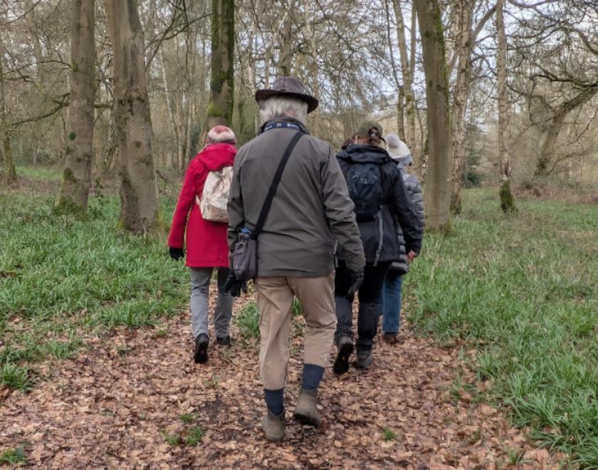 Visitors enjoying the guided woodland walk at Basildon Park