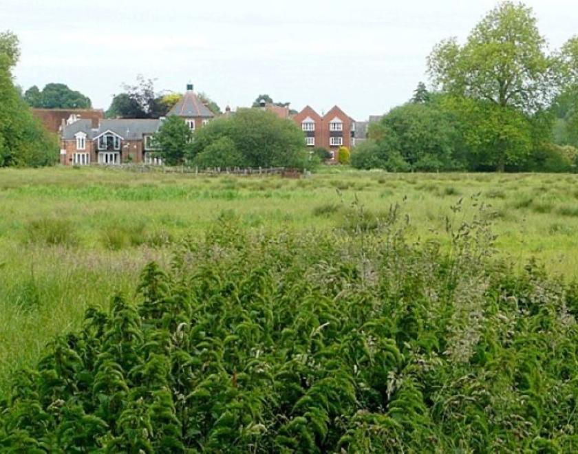field with buidings in background