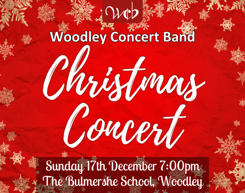 Banner image for Christmas Concert features red wrapping paper background and gold snowflakes