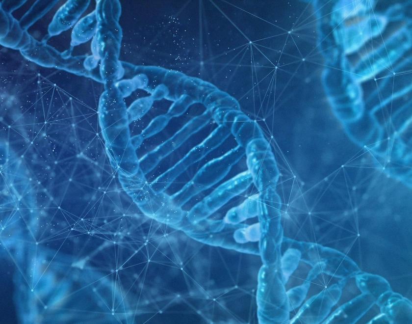 DNA helix