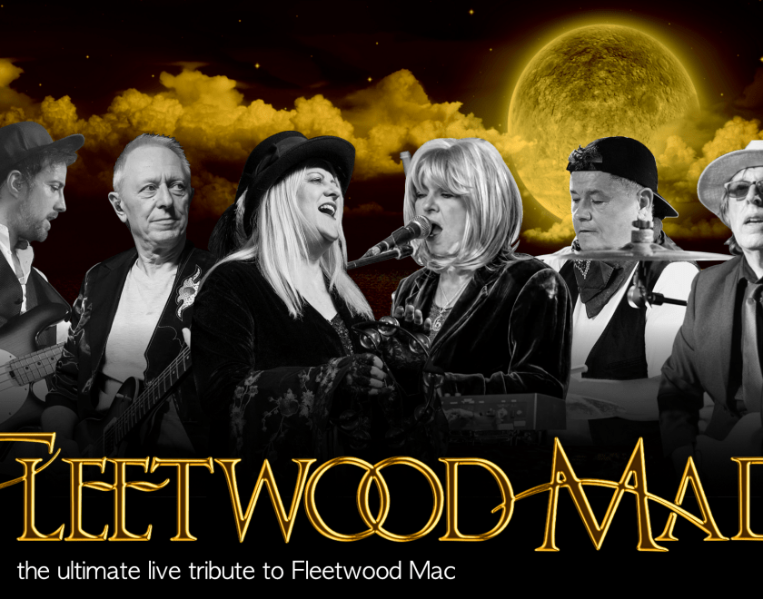 Fleetwood Mad in concert