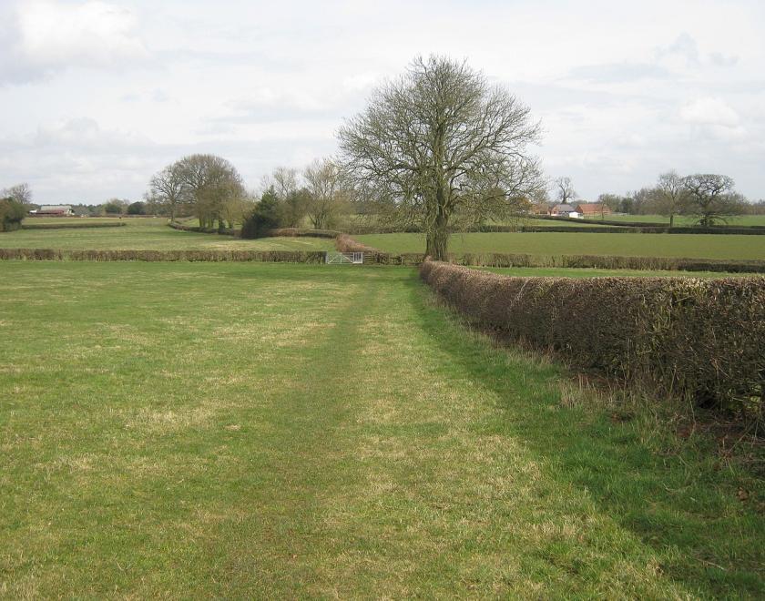 Fields, paths and hedgerows