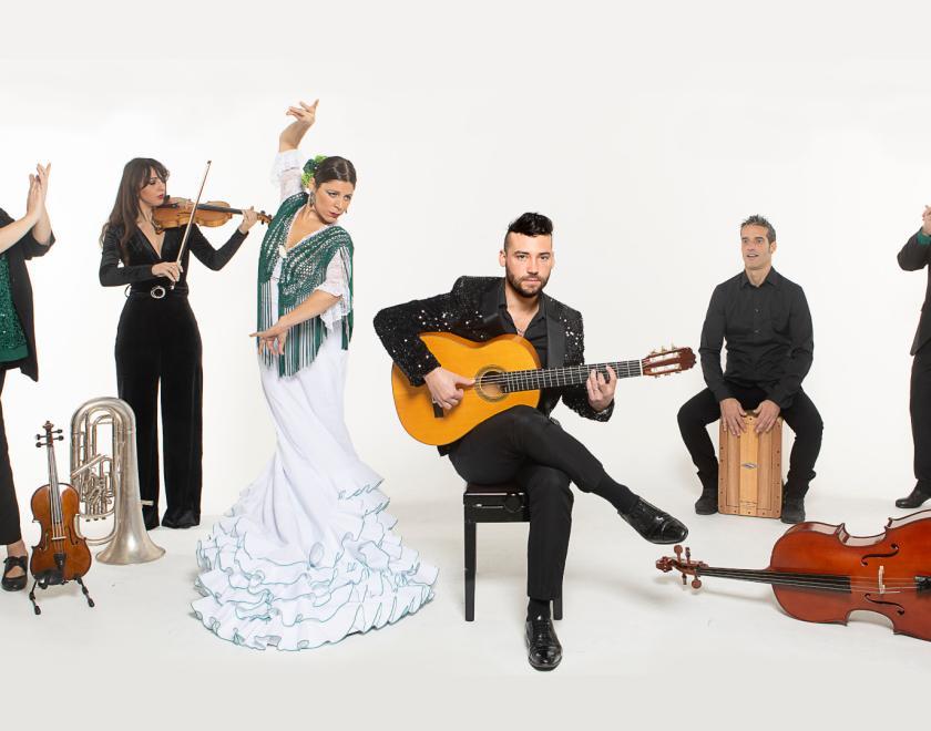 Daniel Martinez Flamenco Company