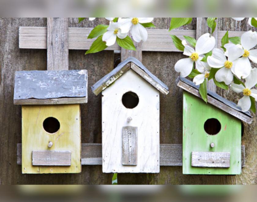 Home made bird boxes at the Museum of English Rural Life