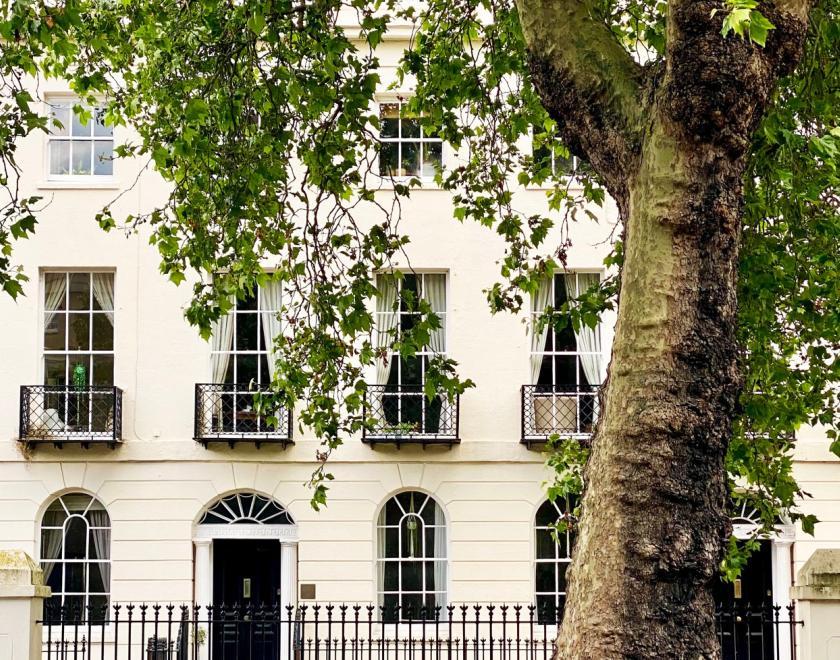 Georgian building behind tree