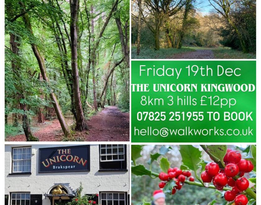 Walk Works 8km guided walk in Kingwood 19th Dec